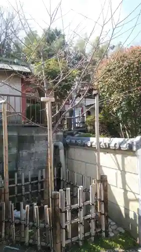 浄土宗 光明山 大蓮寺（照曜会館）の自然