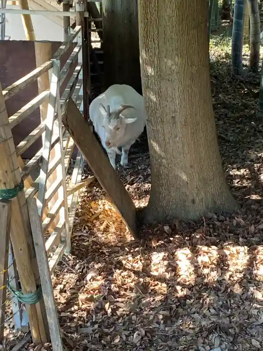 出雲大社相模分祠の{uncategorized: "未分類", other: "その他", undefined: "問題あり", building: "その他建物", grave: "お墓", sacred_gate: "鳥居", guardian: "狛犬", statue: "像", buddha: "仏像", history: "歴史", nature: "自然", garden: "庭園", animal: "動物", pagoda: "塔", temizu: "手水舎", mountain_gate: "山門・神門", sanctuary: "本殿・本堂", subordinate: "末社・摂社", art: "芸術", scenery: "景色", jizo: "地蔵", ema: "絵馬", goshuin: "御朱印", omikuji: "おみくじ", items: "授与品その他", amulet: "お守り", goshuincho: "御朱印帳", eats: "食事", festival: "お祭り", votive_dance: "神楽", shichigosan: "七五三参", wedding: "結婚式", experience: "体験その他", initially: "初詣", around: "周辺", anti_infection: "感染症対策"}