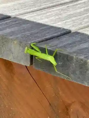 蚊里田八幡宮(長野県)