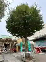 矢先稲荷神社(東京都)