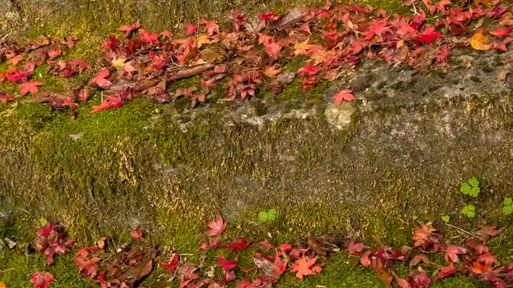 金蔵寺(京都府)