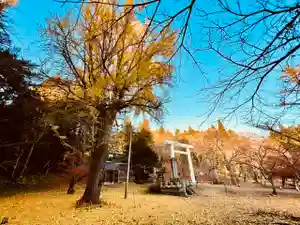 土津神社|こどもと出世の神さまの景色(2021年11月19日(金) 15時54分58秒投稿)