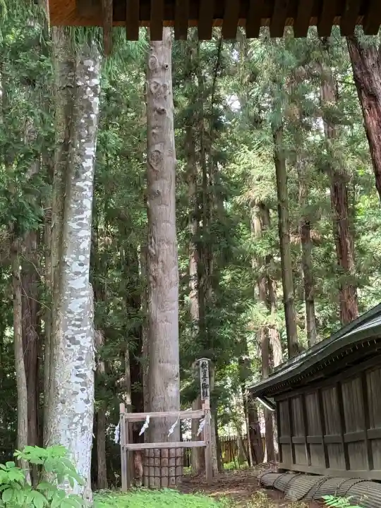 諏訪大社下社秋宮(長野県)