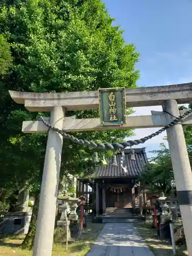 白山神社の鳥居