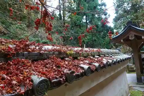 狸谷山不動院のその他建物