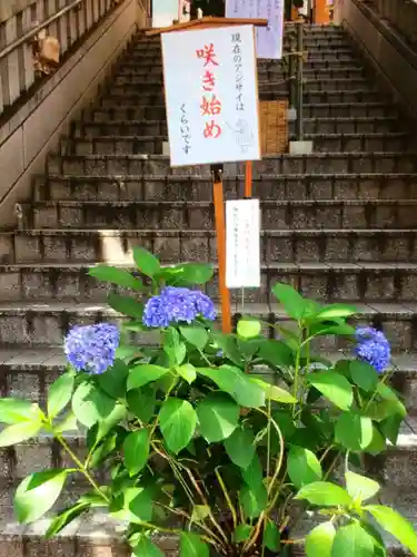 十番稲荷神社(東京都)