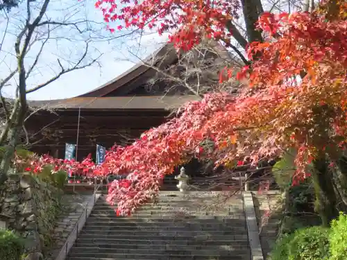 園城寺（三井寺）(滋賀県)