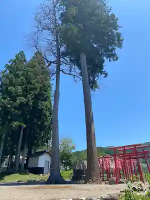 南宮神社の自然