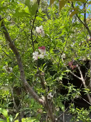 常照院（曼陀羅寺塔頭）(愛知県)