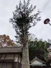 和爾賀波神社(香川県)