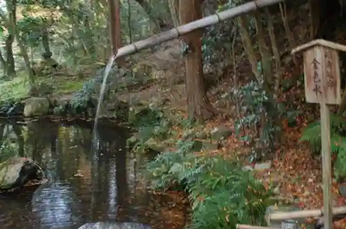 三千院門跡の庭園