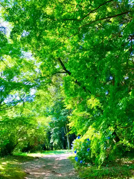 香取神宮の自然