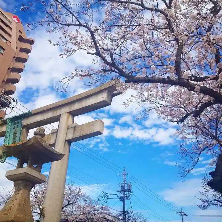 尾張大國霊神社(国府宮)(愛知県)