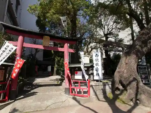 洲嵜神社の{uncategorized: "未分類", other: "その他", undefined: "問題あり", building: "その他建物", grave: "お墓", sacred_gate: "鳥居", guardian: "狛犬", statue: "像", buddha: "仏像", history: "歴史", nature: "自然", garden: "庭園", animal: "動物", pagoda: "塔", temizu: "手水舎", mountain_gate: "山門・神門", sanctuary: "本殿・本堂", subordinate: "末社・摂社", art: "芸術", scenery: "景色", jizo: "地蔵", ema: "絵馬", goshuin: "御朱印", omikuji: "おみくじ", items: "授与品その他", amulet: "お守り", goshuincho: "御朱印帳", eats: "食事", festival: "お祭り", votive_dance: "神楽", shichigosan: "七五三参", wedding: "結婚式", experience: "体験その他", initially: "初詣", around: "周辺", anti_infection: "感染症対策"}