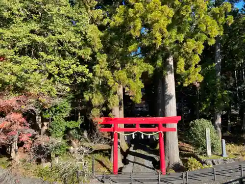 須山浅間神社の鳥居