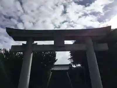 坂八幡神社の鳥居