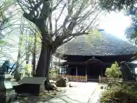 佐竹寺の本殿・本堂