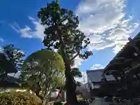 月光寺(大阪府)