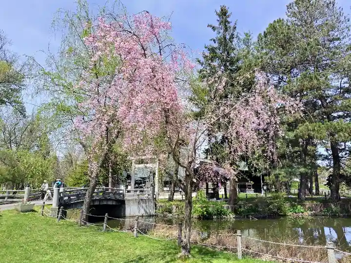上川神社頓宮の自然