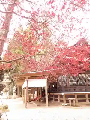 鹿島神宮の本殿・本堂