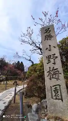 隨心院(随心院)のその他建物