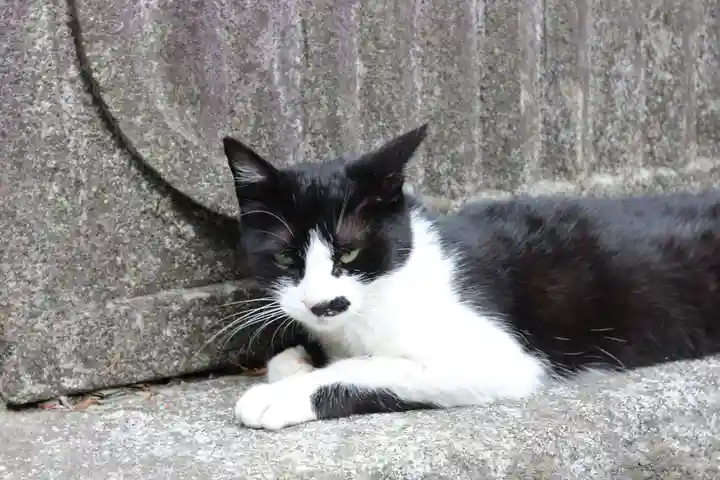 水澤寺(水澤観世音)の動物