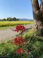 神吉八幡神社(兵庫県)