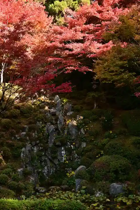 金剛輪寺(滋賀県)