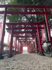 金井神社の鳥居