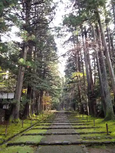 平泉寺白山神社の建物その他