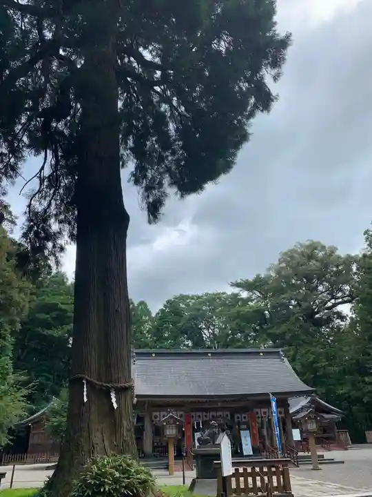 狭野神社のその他建物