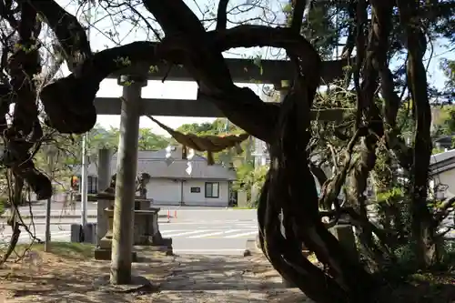 春日神社の庭園