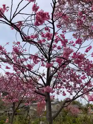 正覚院(神奈川県)