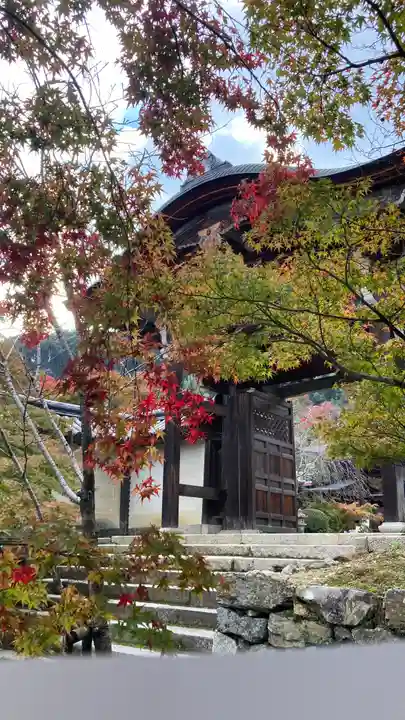 二尊院(京都府)