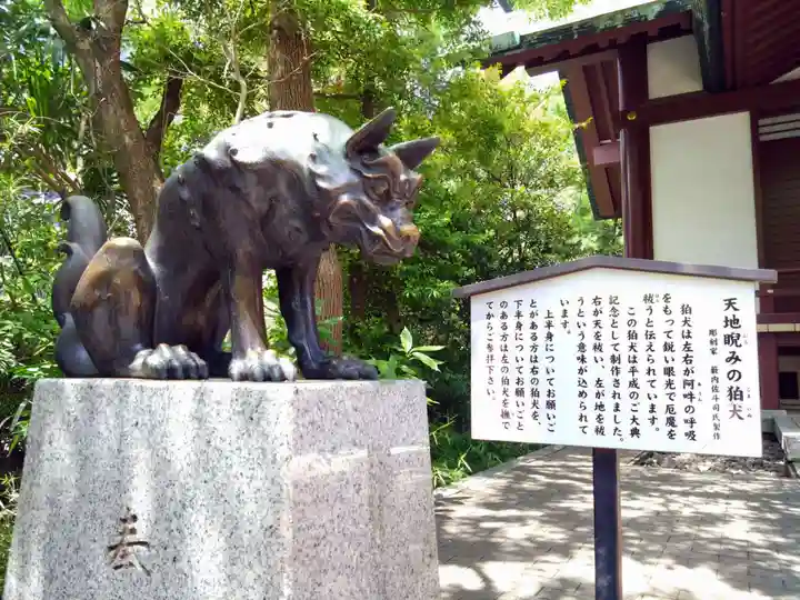 稲毛神社(神奈川県)