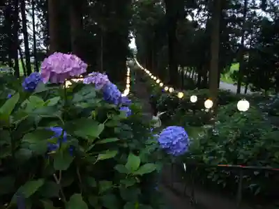 磯山神社の自然