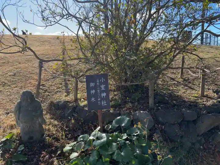 小室神社(静岡県)