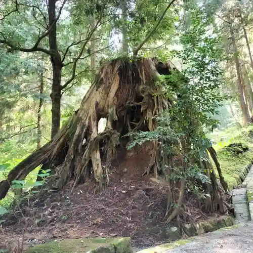 最乗寺（道了尊）(神奈川県)