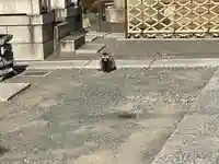 徳泉寺(神奈川県)