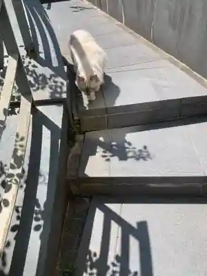 道往寺(東京都)