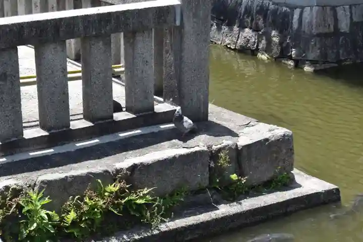 東寺(教王護国寺)の動物