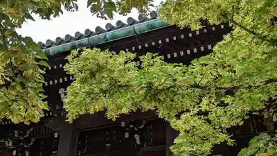 真正極楽寺(真如堂)(京都府)