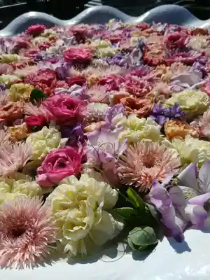 最明寺の{uncategorized: "未分類", other: "その他", undefined: "問題あり", building: "その他建物", grave: "お墓", sacred_gate: "鳥居", guardian: "狛犬", statue: "像", buddha: "仏像", history: "歴史", nature: "自然", garden: "庭園", animal: "動物", pagoda: "塔", temizu: "手水舎", mountain_gate: "山門・神門", sanctuary: "本殿・本堂", subordinate: "末社・摂社", art: "芸術", scenery: "景色", jizo: "地蔵", ema: "絵馬", goshuin: "御朱印", omikuji: "おみくじ", items: "授与品その他", amulet: "お守り", goshuincho: "御朱印帳", eats: "食事", festival: "お祭り", votive_dance: "神楽", shichigosan: "七五三参", wedding: "結婚式", experience: "体験その他", initially: "初詣", around: "周辺", anti_infection: "感染症対策"}