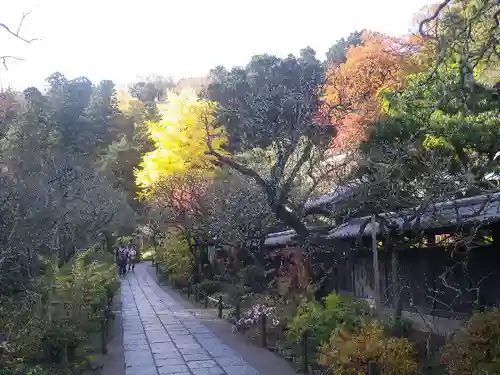 東慶寺の庭園