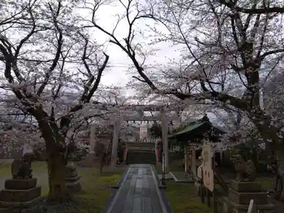  湊八幡神社(福井県)