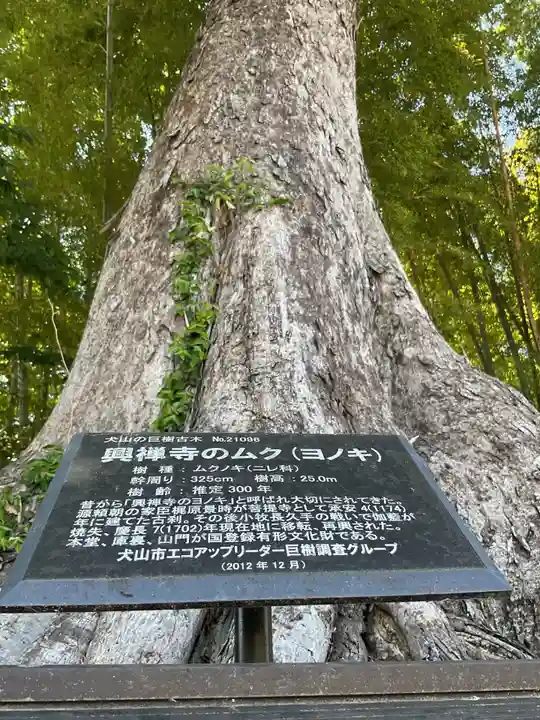興禅寺(愛知県)