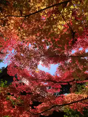 滑川神社 - 仕事と子どもの守り神(福島県)