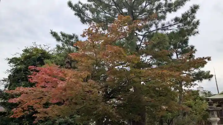 鹿嶋神社の自然
