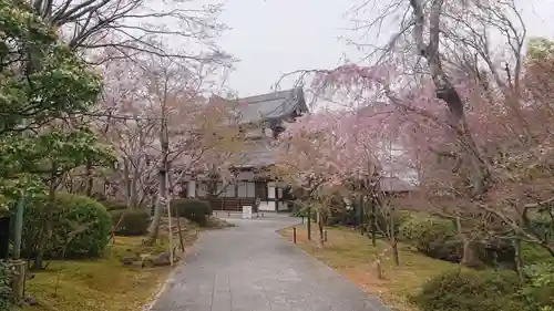 将軍塚青龍殿（青蓮院門跡）のその他建物