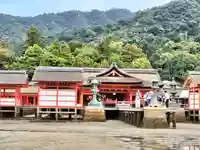厳島神社(広島県)